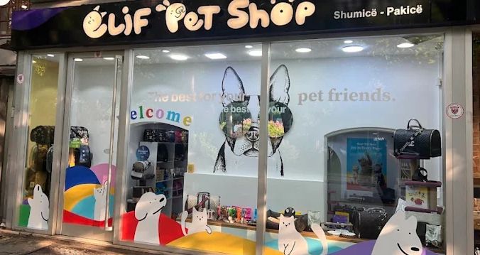 ____________________DYQAN-KAFSHESH-TIRANE-00