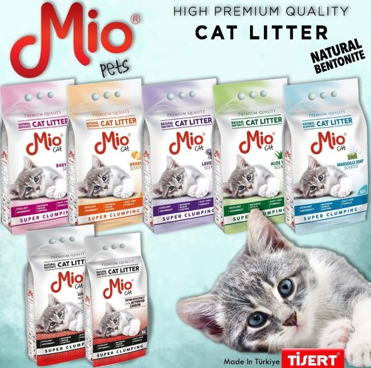 ____________________DYQAN-KAFSHESH-TIRANE-01