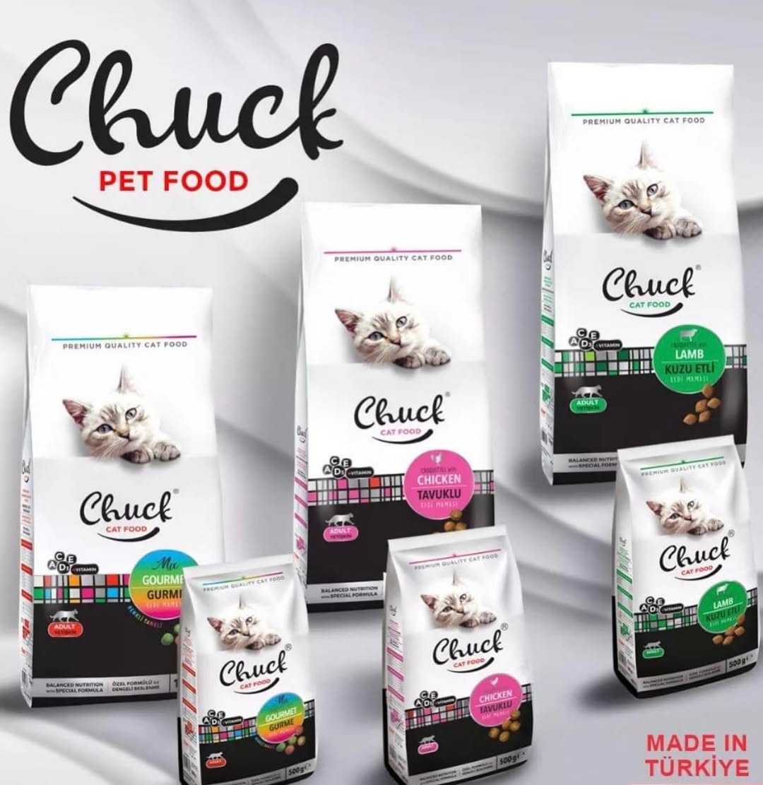 ____________________DYQAN-KAFSHESH-TIRANE-12