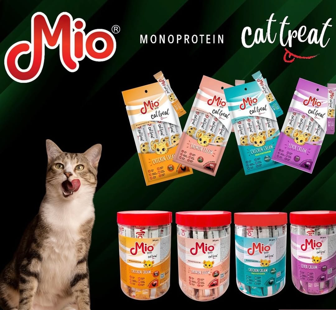 ____________________DYQAN-KAFSHESH-TIRANE-121