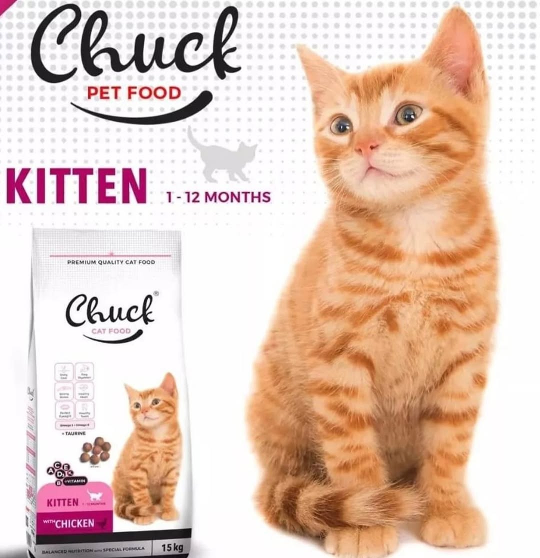 ____________________DYQAN-KAFSHESH-TIRANE-13