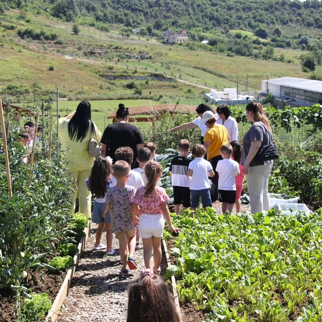 _____________albanet-ferme-per-kopshte-shkolla-13