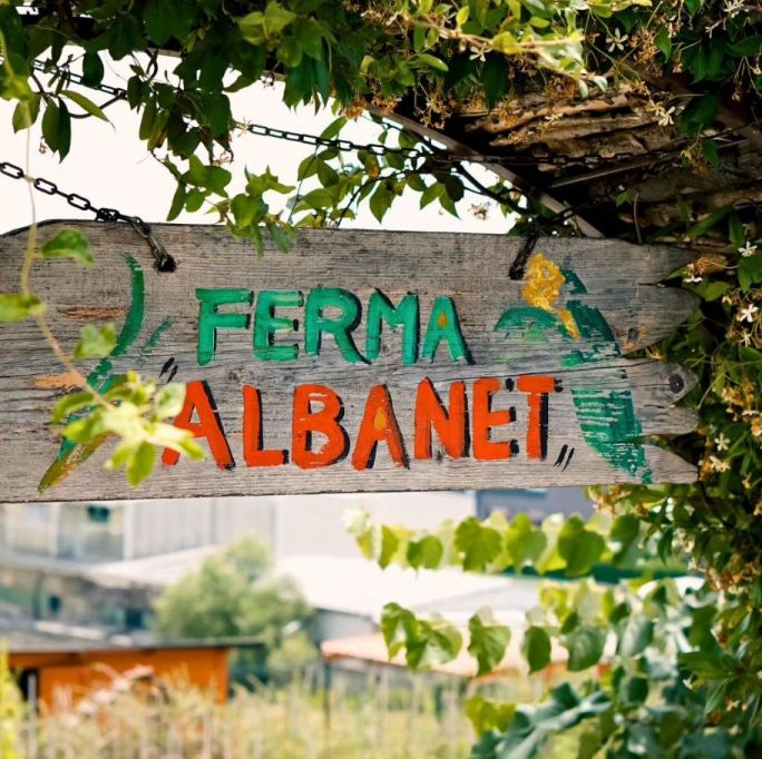 _____________albanet-ferme-per-kopshte-shkolla-tirane