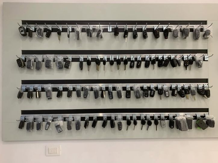 KOPJE-CELSASH-VLORE-1