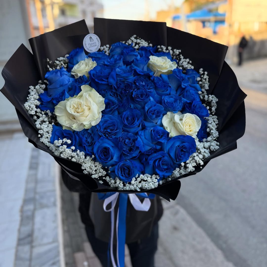 _________________sauk-lule-dyqan-11