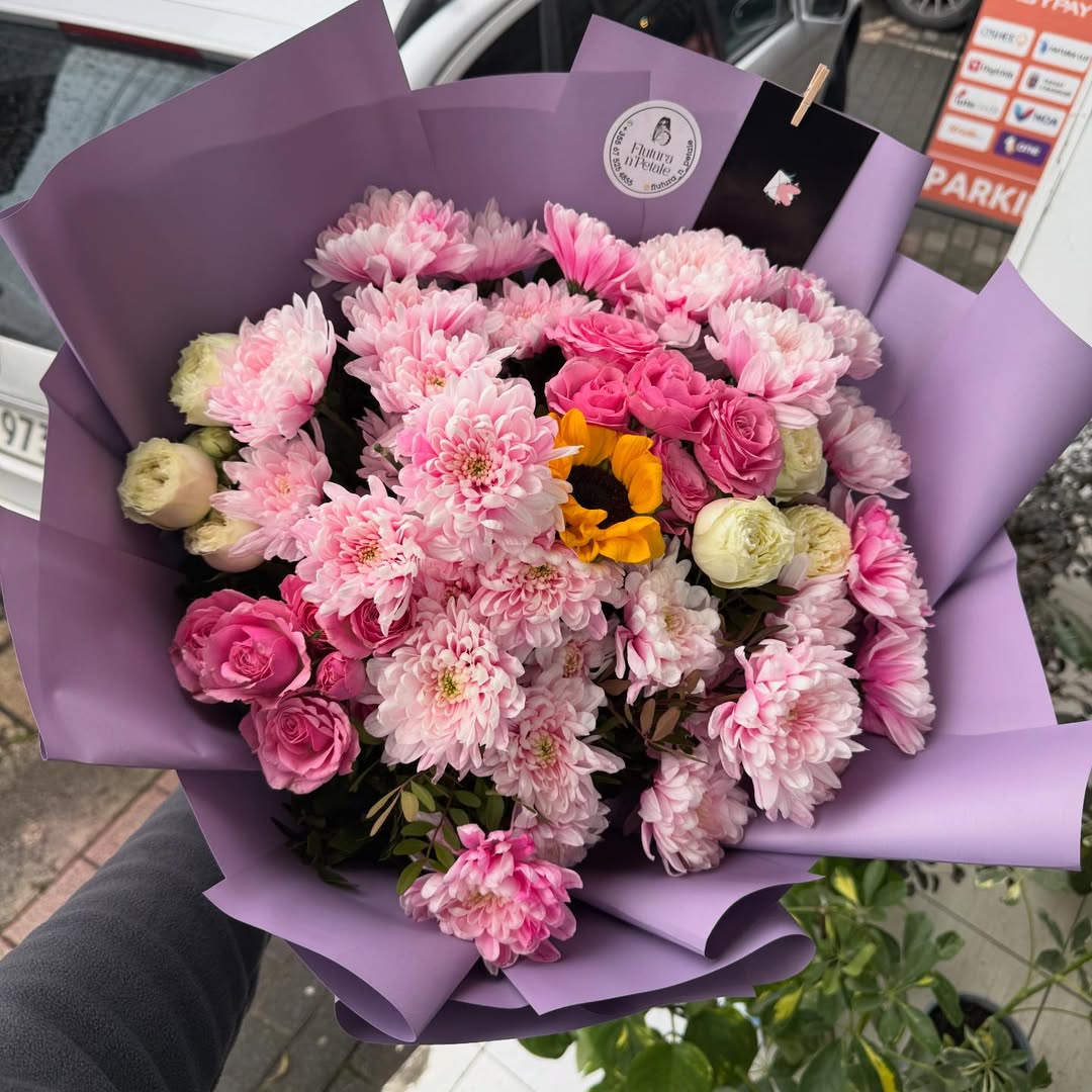 _________________sauk-lule-dyqan-18