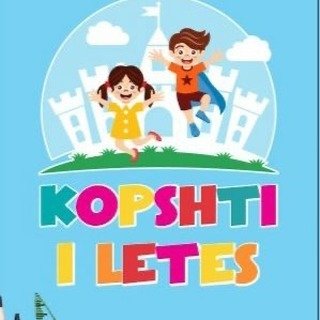 KOPESHT-CERDH-PASSHKOLLOR-DONBOSKO-VIZIONI-