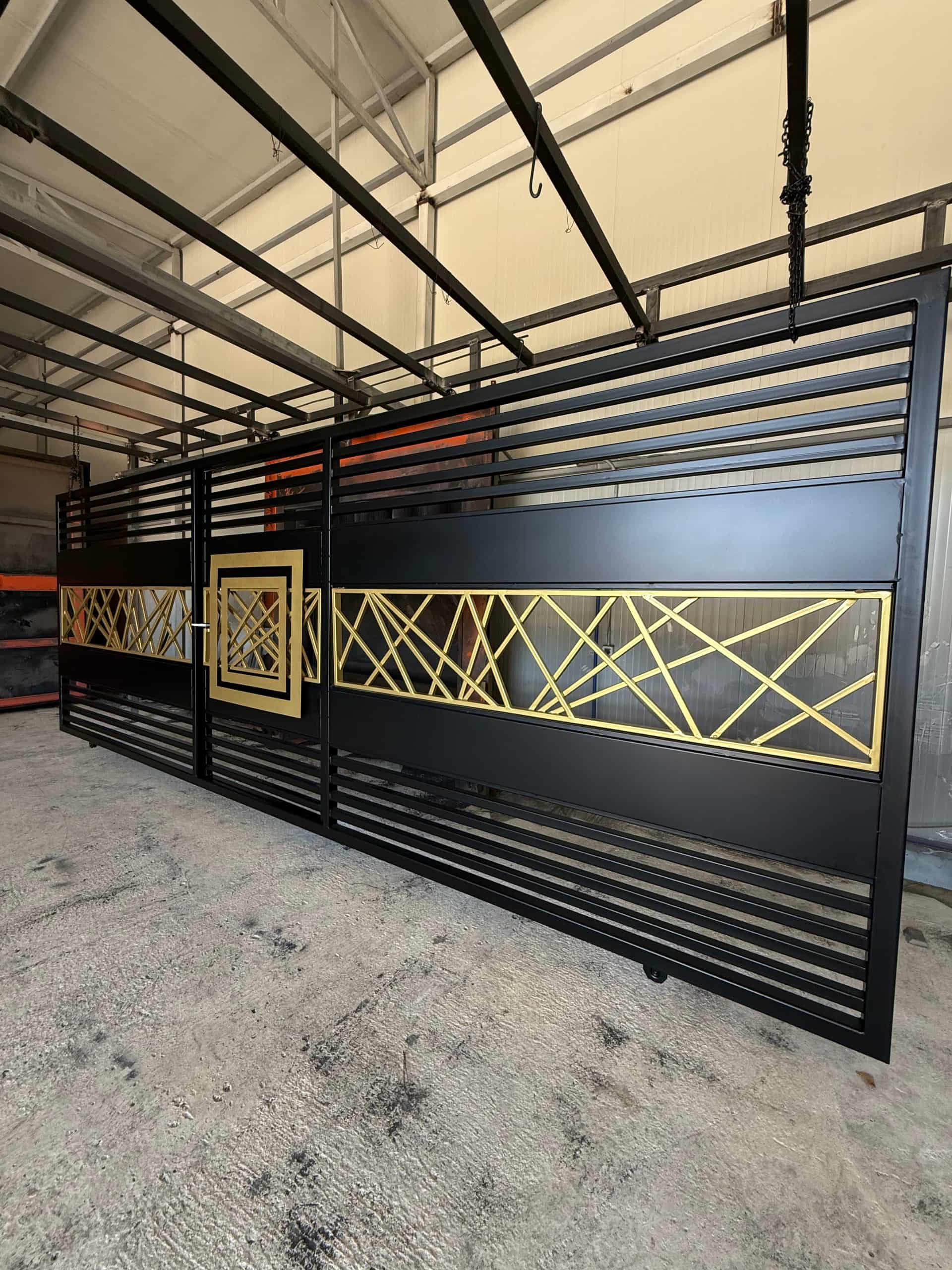 _________LYERJE-ELEKTROSTATIKE-POJANA-13