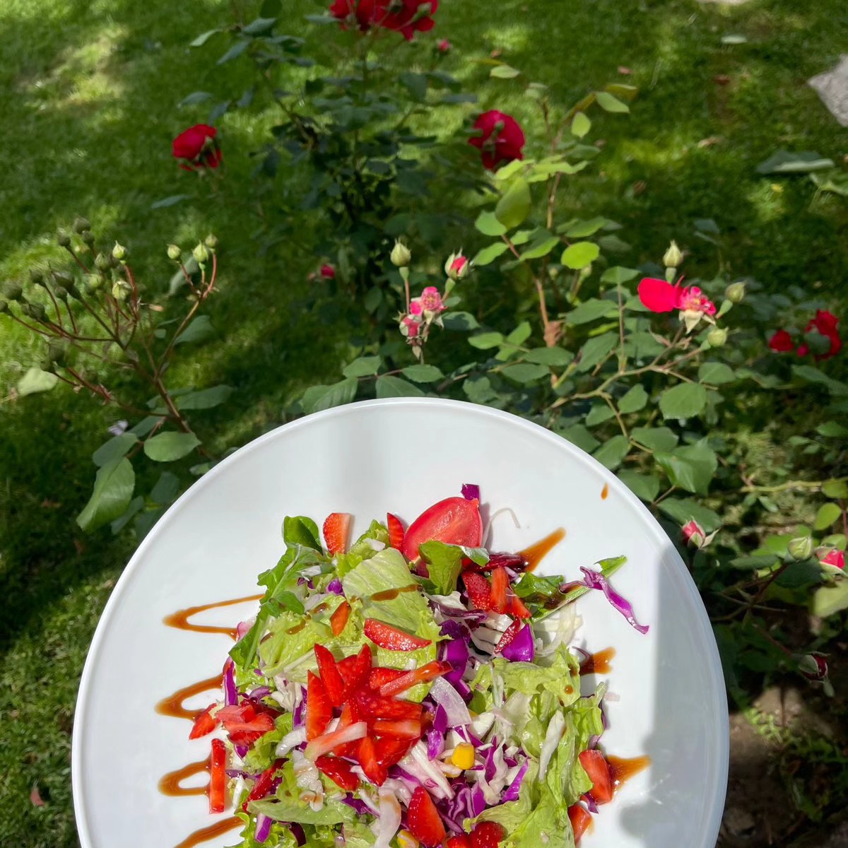 ____restorant-periferi-baldushk-tirane-197