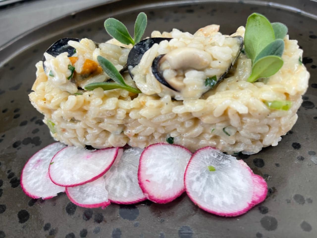 ce2f2b12-8411-47ba-80ee-a5e6a4ed400e