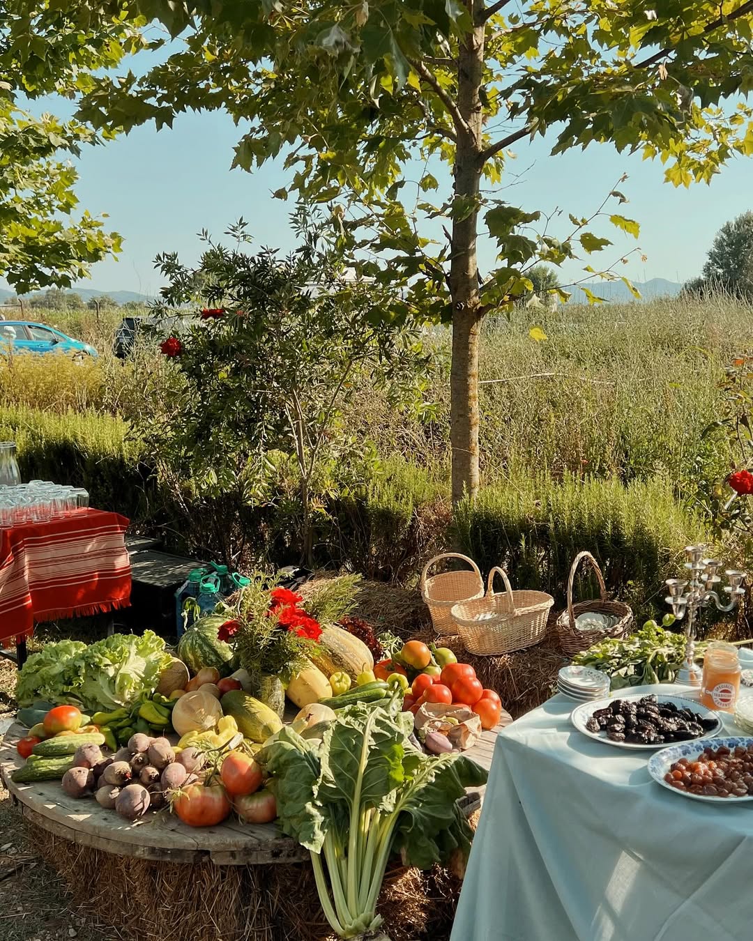 kamping-hotel-restorant-gramsh-145