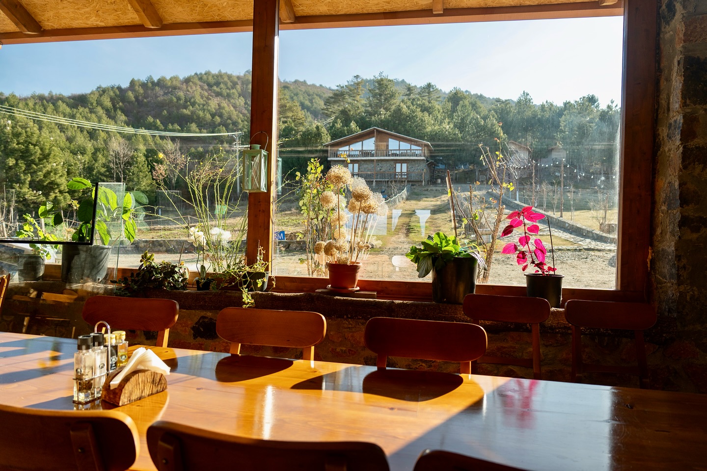 kamping-hotel-restorant-gramsh-18