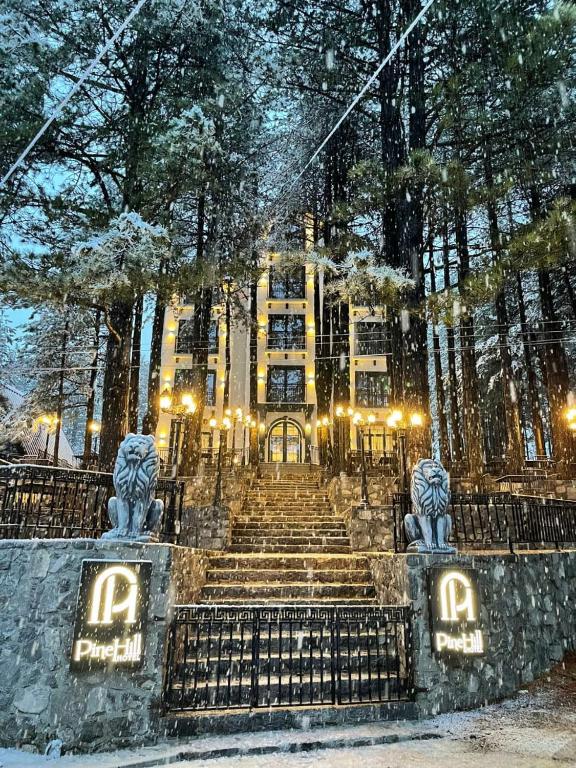 PINEHILL HOTEL – foto 2