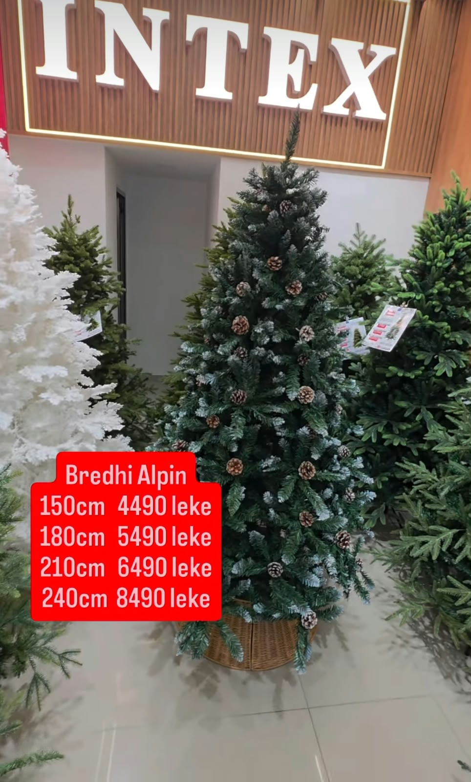Pishina INTEX Albania – foto 3